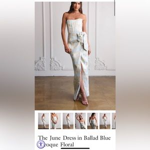 NWT V. Chapman June Dress in Ballad Blue Baroque Floral size 10